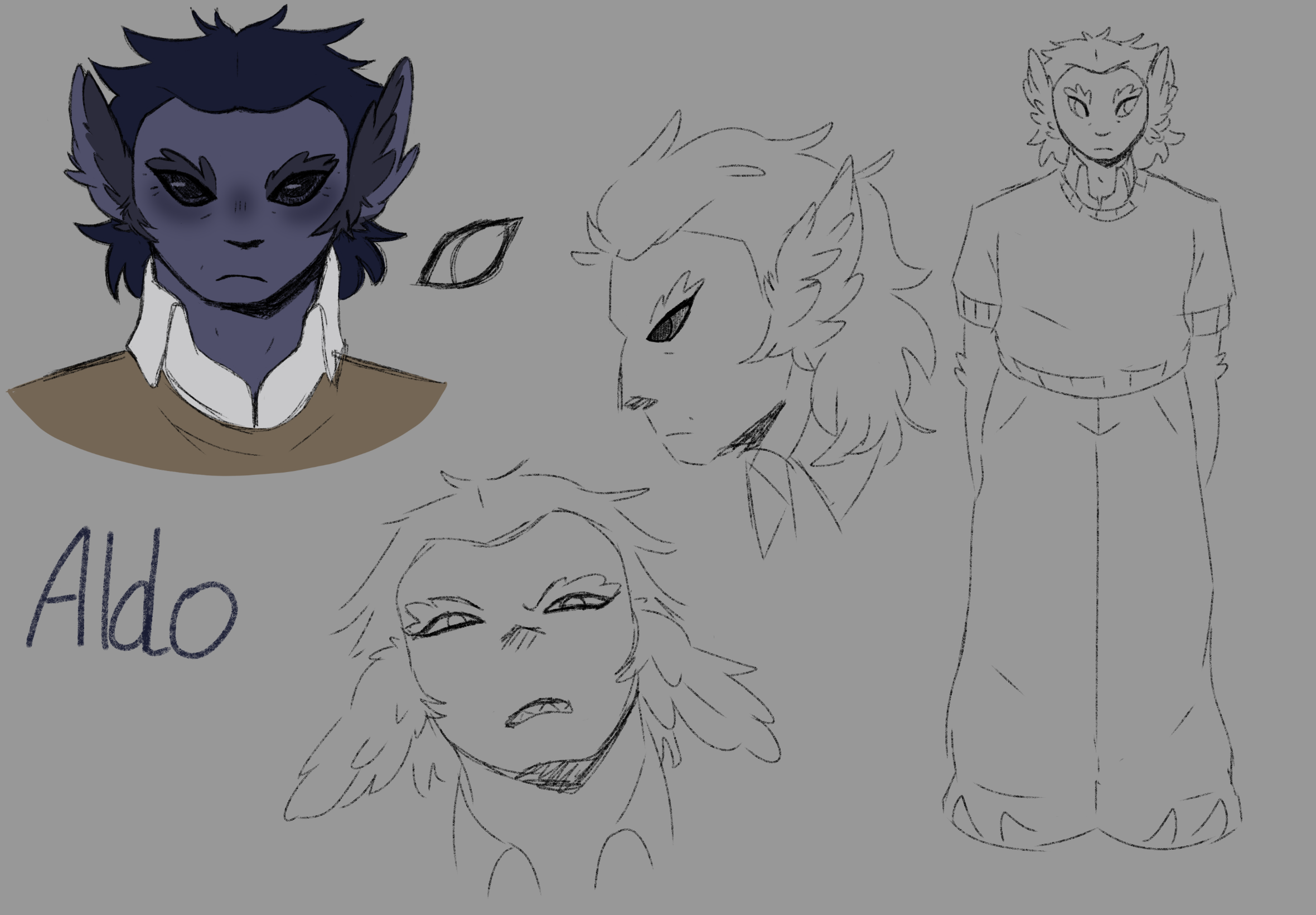 Aldo Design Sheet (2025). A character design sheet for a character named Aldo. It shows his full body and some expressions/head angles.